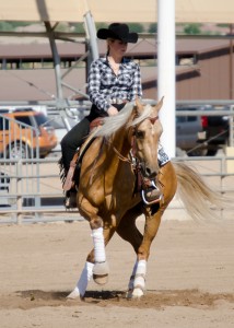 Scottsdale Classic Horse Show