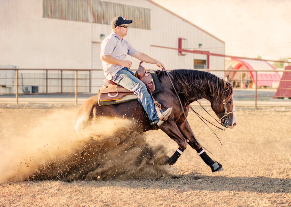 Dun Bein Smart | Reining Horse Trainer