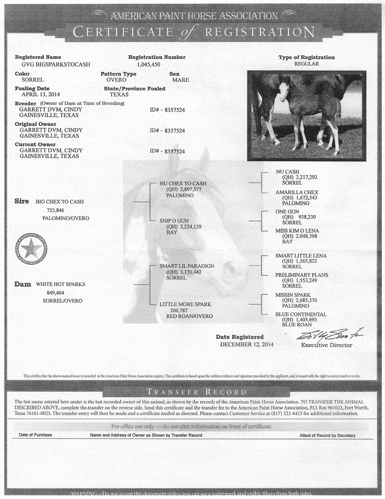 GVG Bigsparktocash APHA Registration Papers