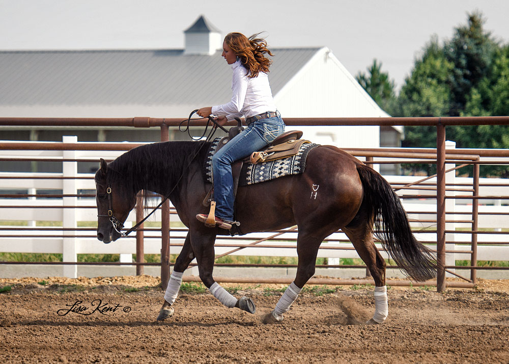 reining horses utah