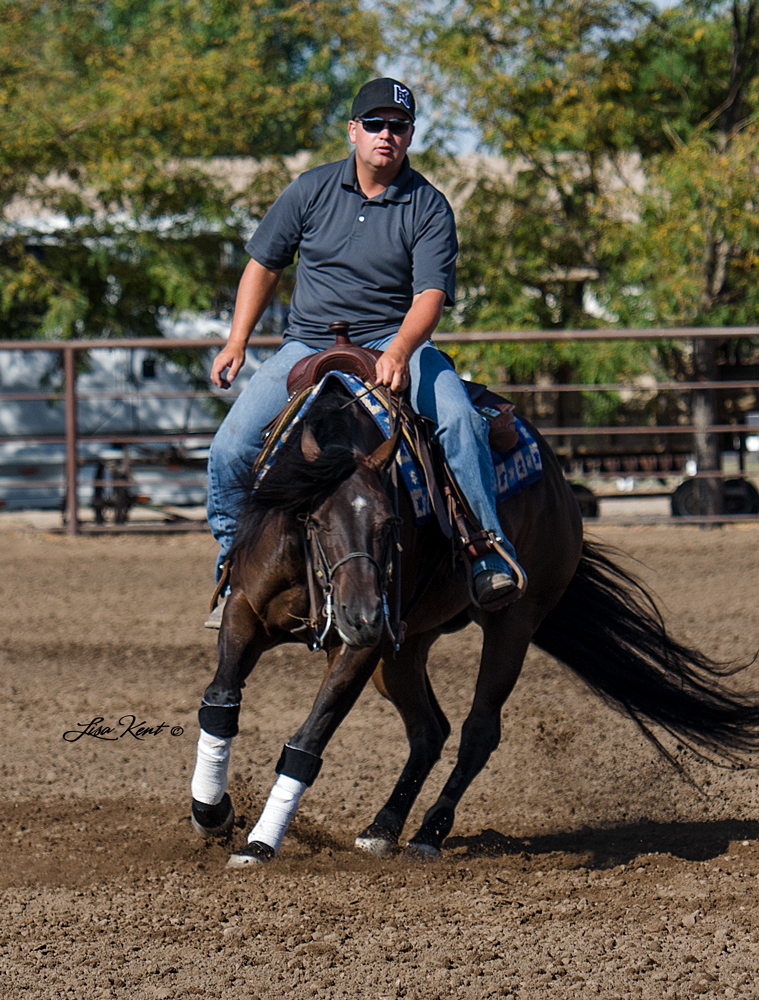 reining horses for sale in utah