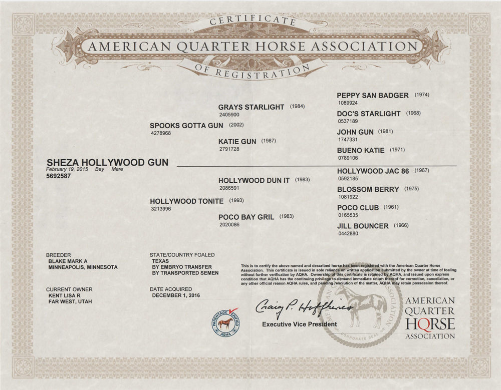 reining horses for sale by spooks gotta gun