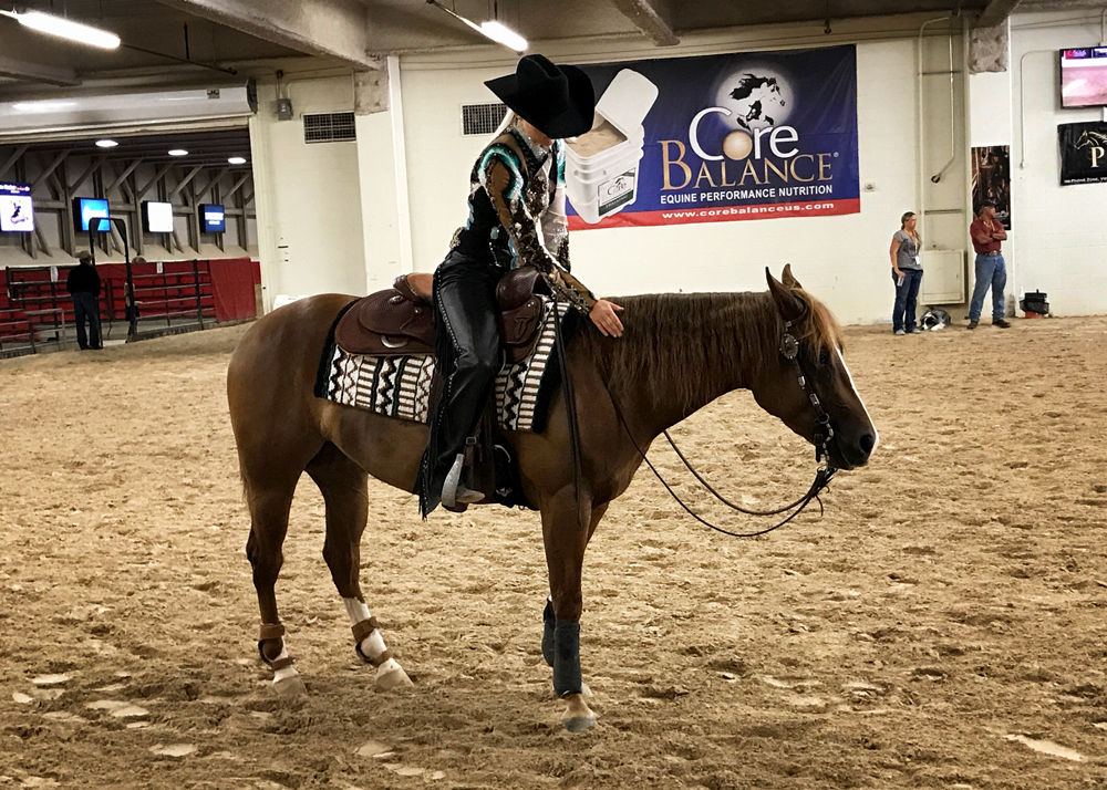 reining horse for sale