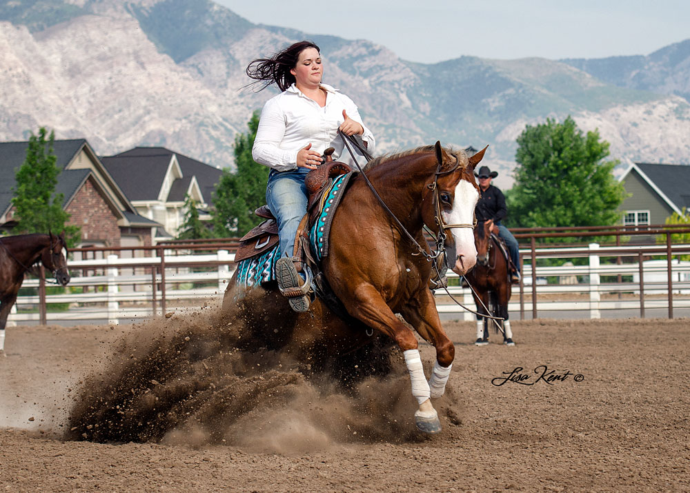 reining horse sliding stop utah