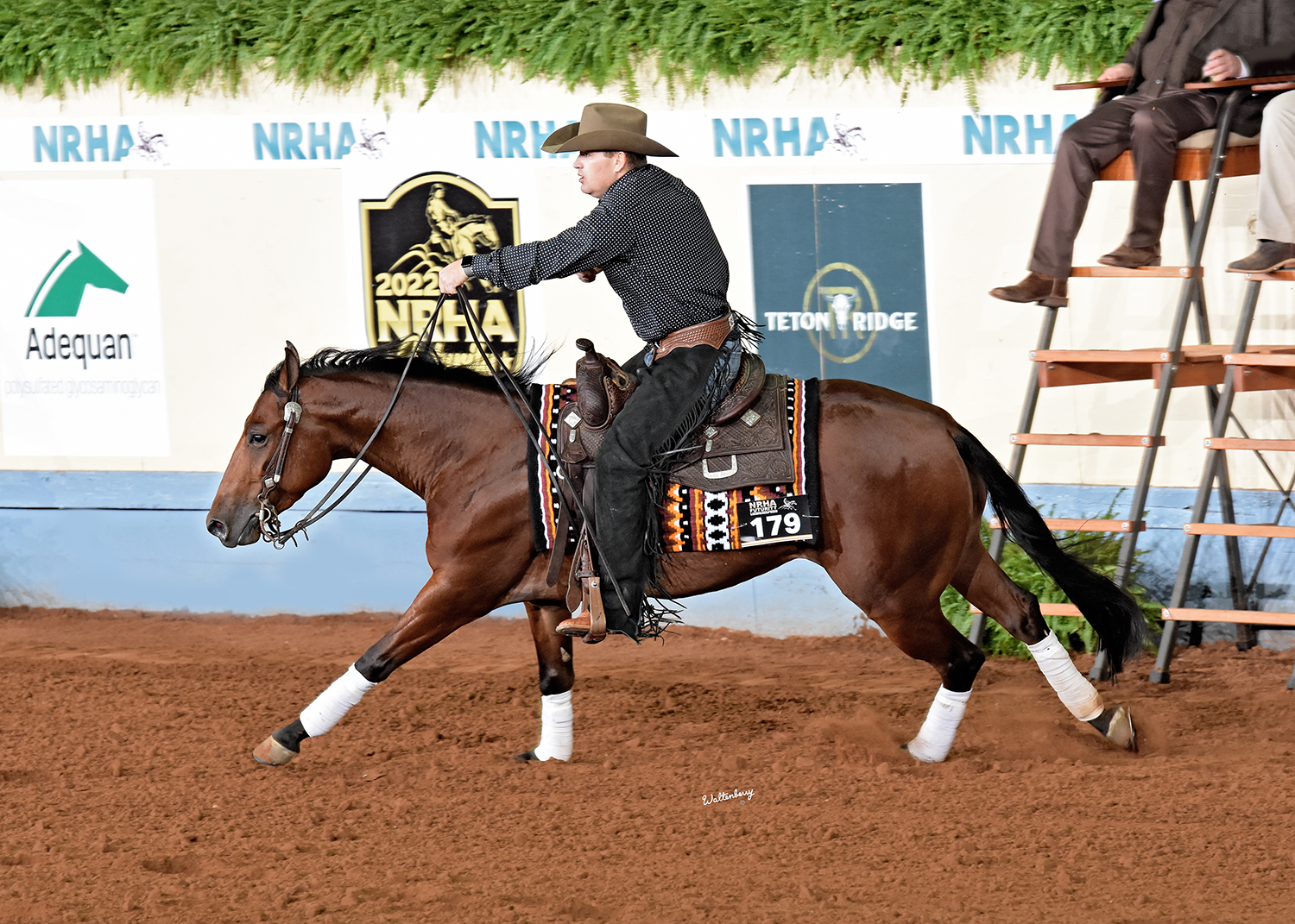 NRHA Futurity reining horse sliding stop