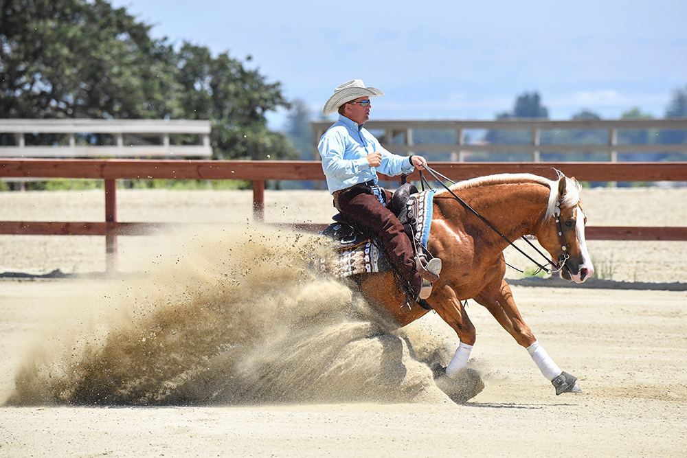 Magnums Little Dream reining horse at reining by the bay
