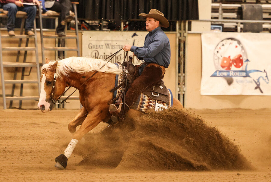 Show Horses Preston Kent Reining