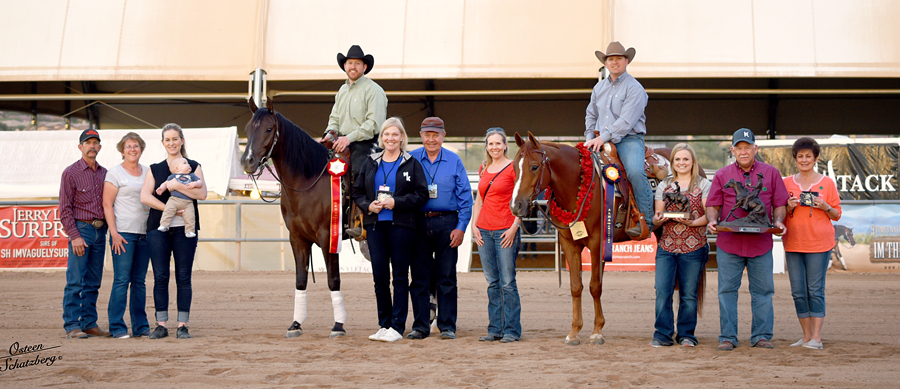 scottsdale half arabian reining horse futurity