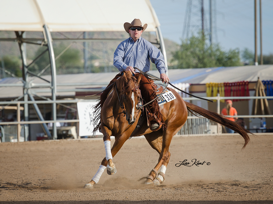 half arabian reining futurity