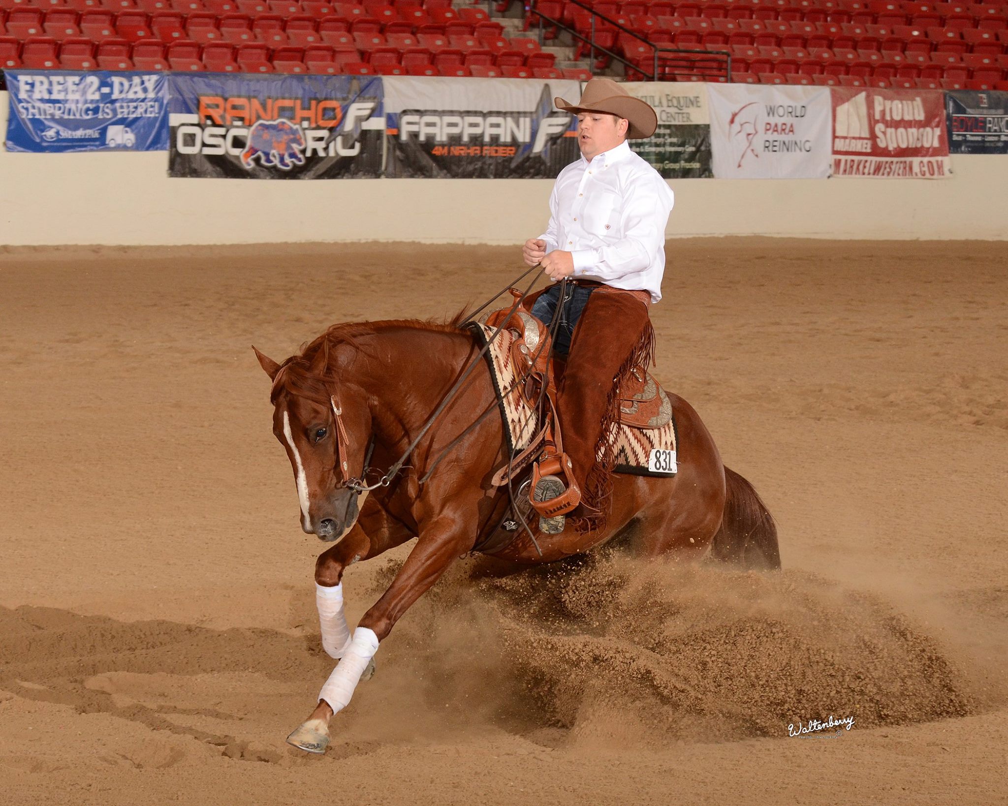 wild card reining challenge half arabian reining futurity