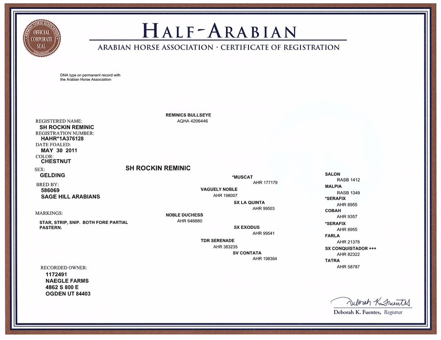 SH Rockin Reminic's Registration Papers