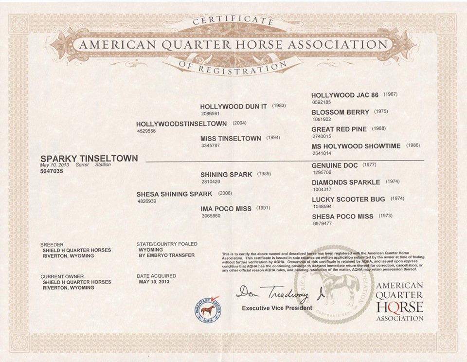 Sparky Tinseltown registration papers