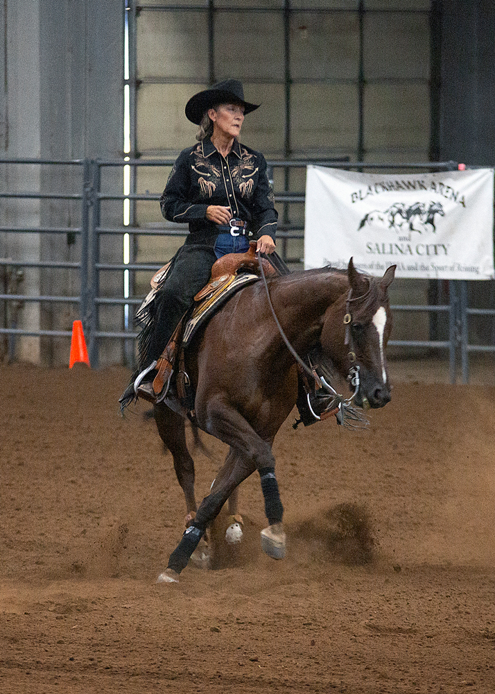 irha heber reining horse show