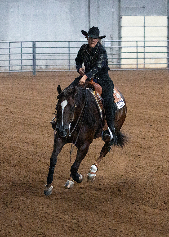 irha heber reining horse show