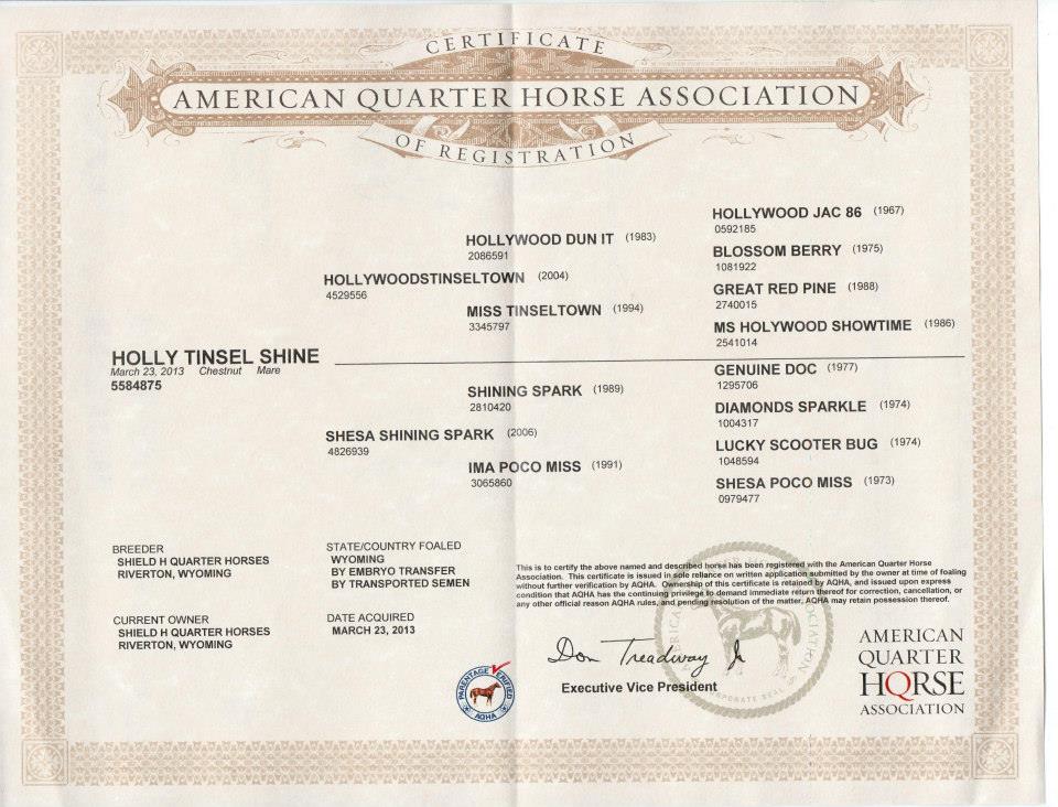 Holly Tinsel Shine registration papers