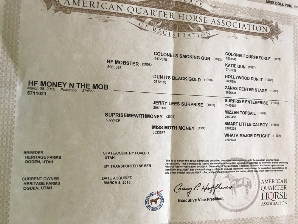HF Money N The Mob registration papers