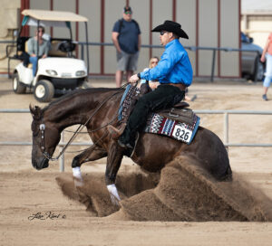 half arabian reining horse