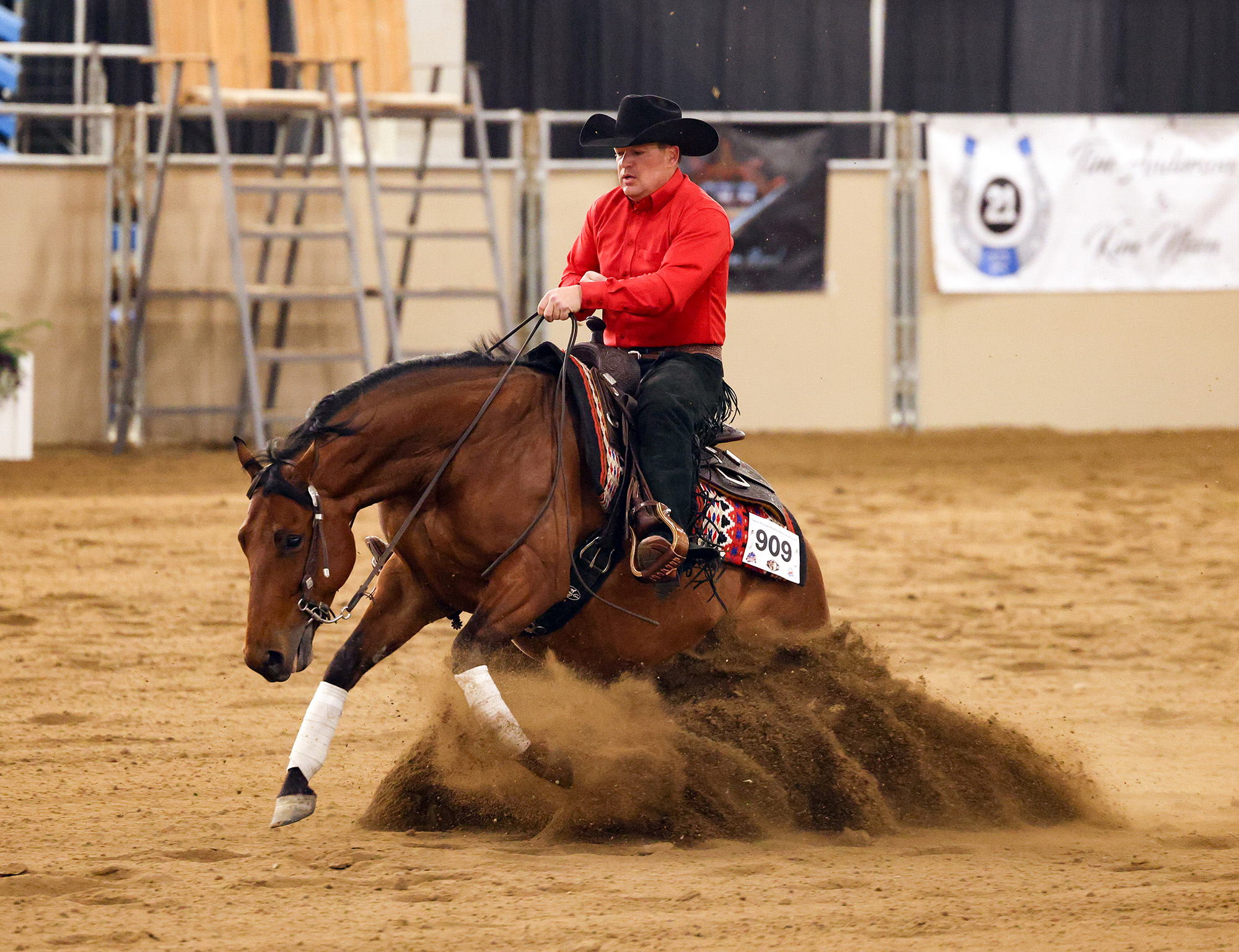reining horse sliding stop