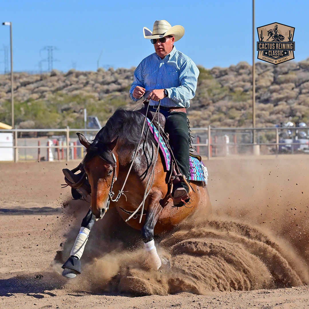 cactus reining classic reining horse sliding stop